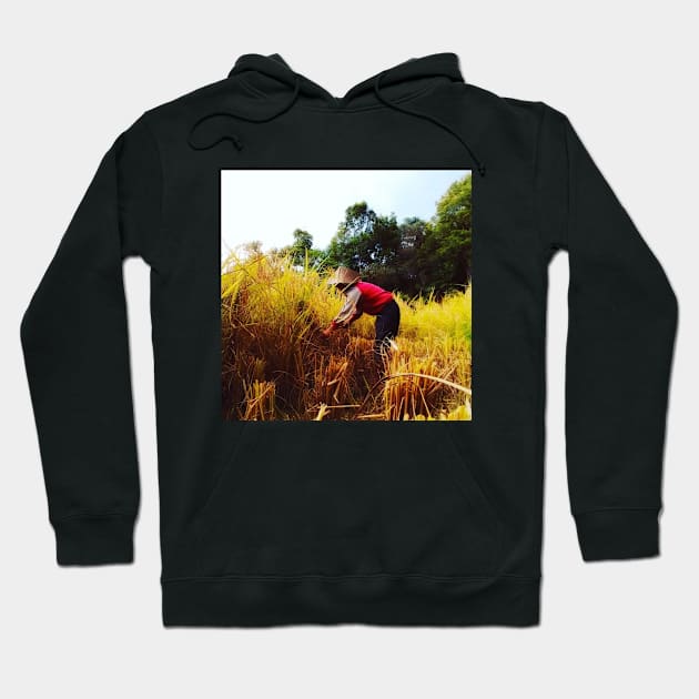 harvesting rice on the fields Hoodie by hypocrite human